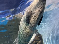 -上海海洋水族馆