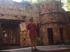-奥兰多迪士尼动物王国乐园