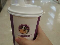 -一只酸奶牛(百联南岸上海城店)