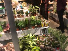 -无锡文化工艺品市场(槐古路店)