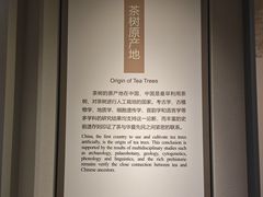 -中国茶叶博物馆(双峰馆区)