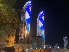-演武大桥观景平台