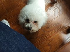 -煎饼道·新鲜现做(来福士店)