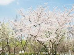 -西北湖绿化广场