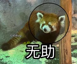 -Zoolung Zoolung动物主题公园(海信广场店)