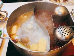 小鸳鸯锅底-野妹火锅(龙岗店)