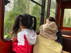 -合肥滨湖国家森林公园