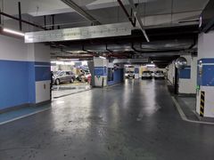 -复旦软件园·智慧新天地-停车场