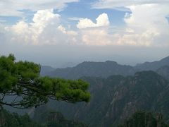 -黄山排云型旅酒店餐厅