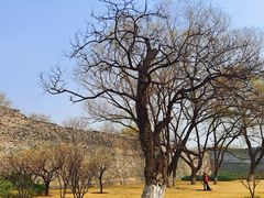 -北京明城墙遗址公园