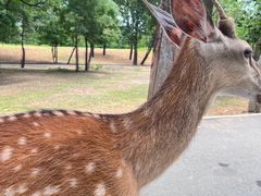 -秦皇岛野生动物园