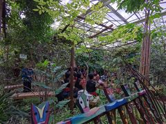 -呀路古热带植物园