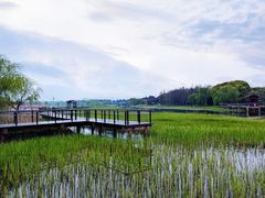-苏州太湖湖滨国家湿地公园