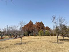 -自然谷恐龙园