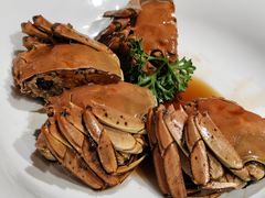 -月湖翠·上海菜(思南公馆淮海店)