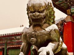 -颐和园