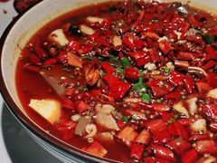 -雲蜀龙阁·金牌水煮鱼(方庄店)