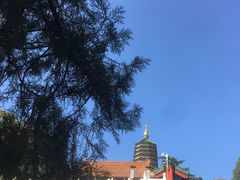 -八大处公园