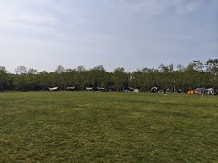 -上海海湾国家森林公园