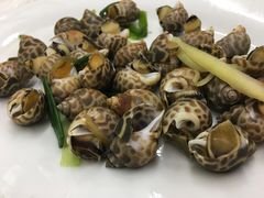 -老三鱼仔店
