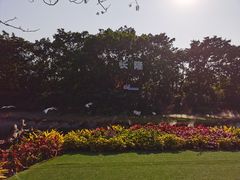 -广州长隆飞鸟乐园