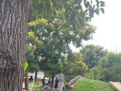 -HERRE·FARM 赫尔露营农场·团建聚会包场