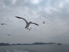 -海驴岛(荣成市)