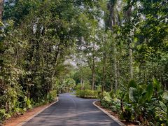 -中国科学院西双版纳热带植物园