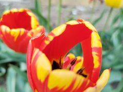 -长春公园(普阳街道)