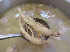 -朴小妹人参鸡汤火锅(长白山万达店)