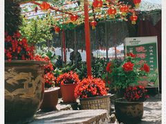 -晓琦农家菜馆·地道农家菜