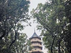 -灵谷景区