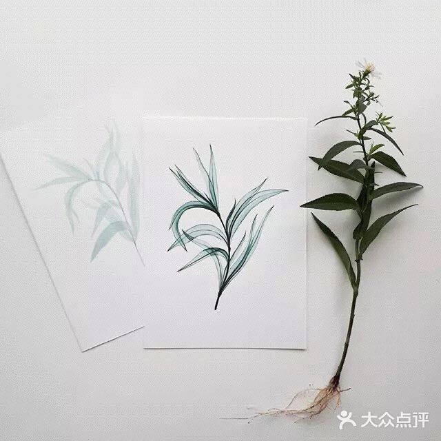 她画的水彩花卉🌺晶莹剔透～