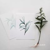 她画的水彩花卉🌺晶莹剔透～