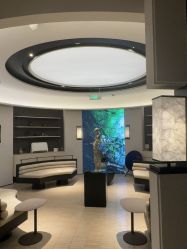 点击看大图 -欧兔博士·O2BOX微高压氧舱