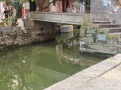 -小洲村