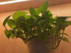 -和记小菜(名品店)