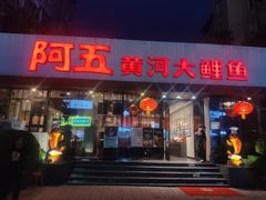 -阿五黄河大鲤鱼(建业路店)