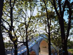 -上海海湾国家森林公园