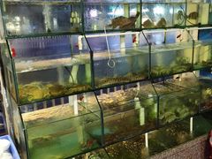 -凯华海鲜火锅·传承三十六年