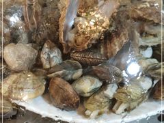 -港畔赶海蒸汽海鲜烧烤自助(仙螺岛店)