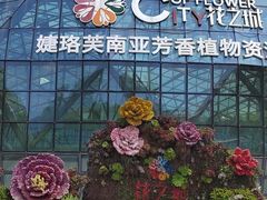 -花之城