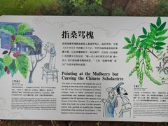 -昆明植物园