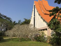 -中国科学院西双版纳热带植物园
