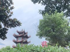 -慈城服务区-停车场