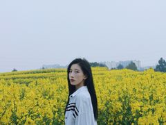 -三圣花乡旅游区