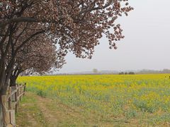 -汉长安城未央宫国家考古遗址公园