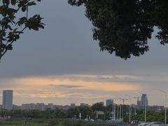 -合肥滨湖国家森林公园