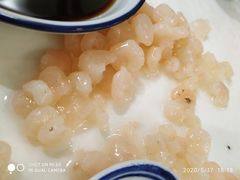 -椿不老