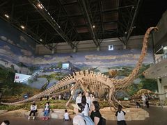 -自贡恐龙博物馆